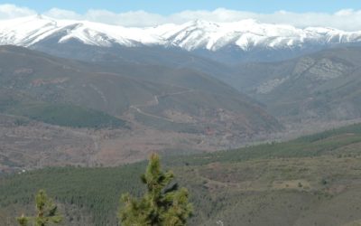 La ganadería en extensivo de las Montañas de León: el caso de la Reserva de la Biosfera de Ancares Leoneses (RBALE)
