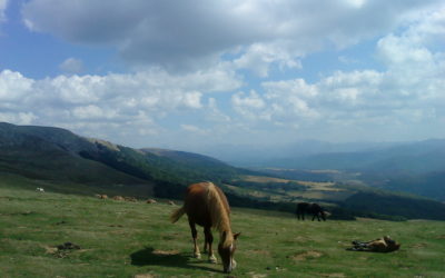 The eastern Pyrenean valleys of the Navarre Mountains